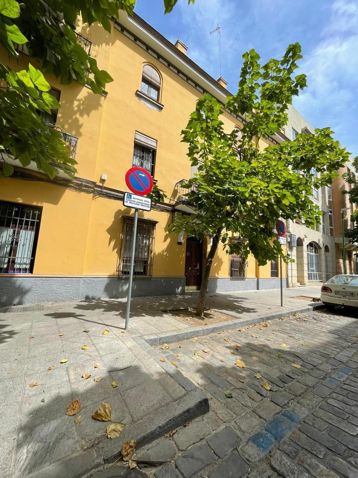 Apartamento Entero En Los Jardines De Murillo Sevilla Exteriér fotografie